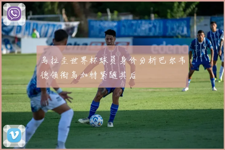 乌拉圭世界杯球员身价分析巴尔韦德领衔乌加特紧随其后